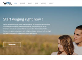 Themeisle Woga WordPress Theme
