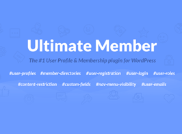 Ultimate Member User Tags