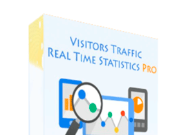 Visitor Traffic Real Time Statistics pro