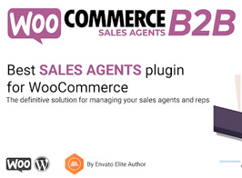 WooCommerce B2B Sales Agents