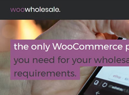 WooCommerce Wholesale Pricing