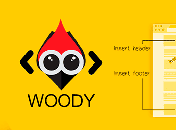 Woody Code Snippets Premium