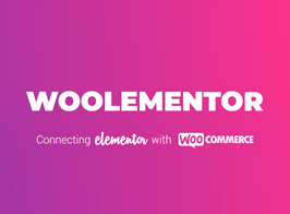 Codexpert | CoDesigner Pro (formerly Woolementor)