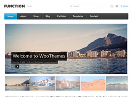 Woothemes Function