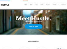Woothemes Hustle