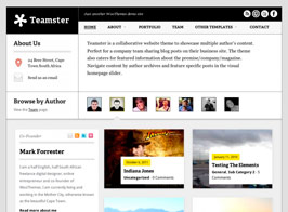 Woothemes Teamster