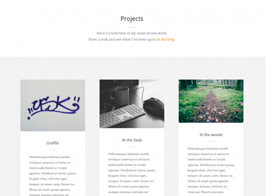 Woothemes Zephyr