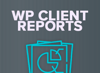 WP Client Reports Pro