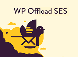 WP Offload SES Pro – Send Your WordPress Emails via Amazon SES