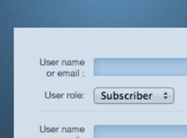 WPMUDEV Blog and User Creator