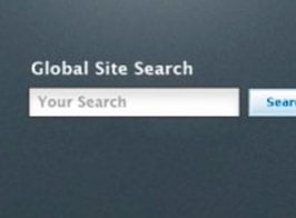 WPMUDEV Global Site Search
