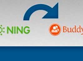 WPMUDEV Ning To BuddyPress User Importer