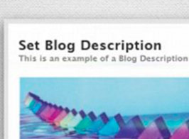 WPMUDEV Set Blog Description on Blog Creation