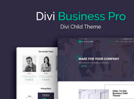 WP Zone Divi Business Pro – Child Theme For Agency