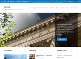 WPZOOM Capital