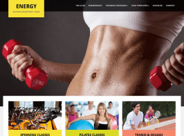 WPZOOM Energy